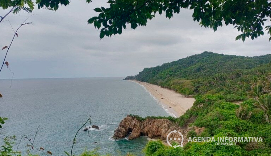 Denuncian ecocidio en Playa Malpaso por construcción de resort de lujo