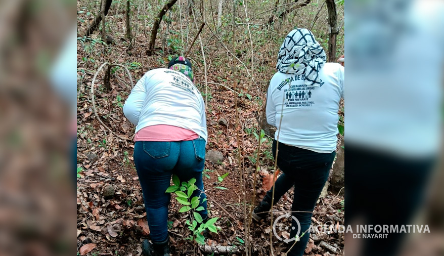 Colectivo Familias Unidas por Nayarit logran localizar restos humanos en San Andrés, Tepic
