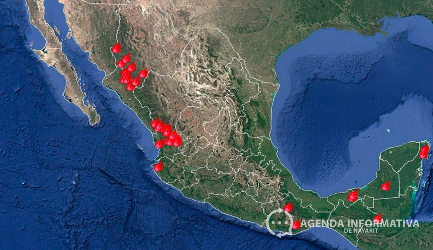 Reportan 37 incendios forestales activos en el país; siete afectan Áreas Naturales Protegidas