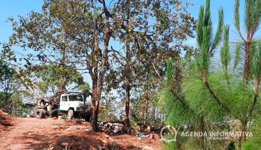 Comunidad indígena de Guadalupe Ocotán denuncia tala en zona protegida y exige intervención de autoridades