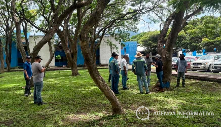 Capacitan en la UAN sobre evaluación de riesgo en árboles urbanos y naturales