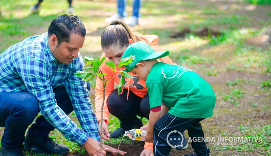 Gobernador anuncia creación de nuevo bosque en la zona norte de Tepic