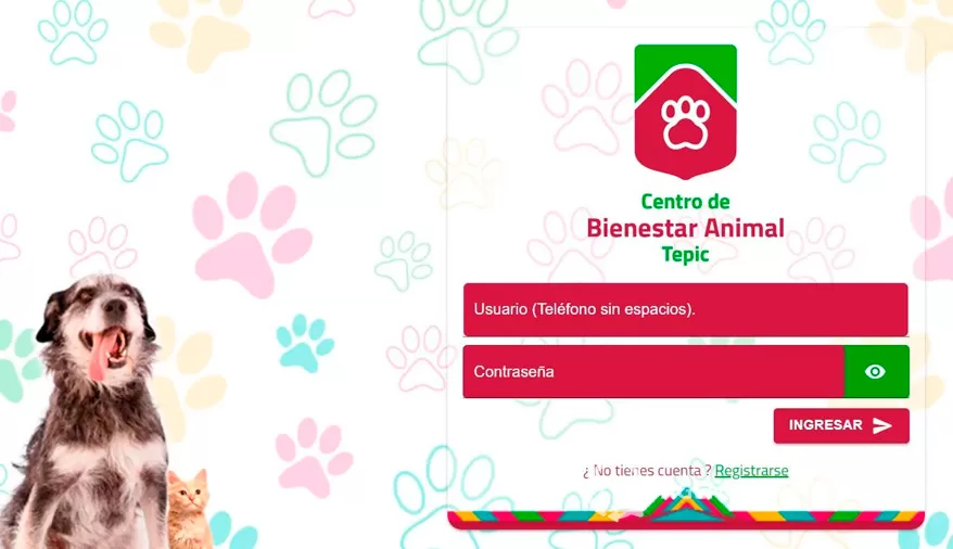 Sanidad Municipal desmiente cobro por registro de mascotas en Tepic