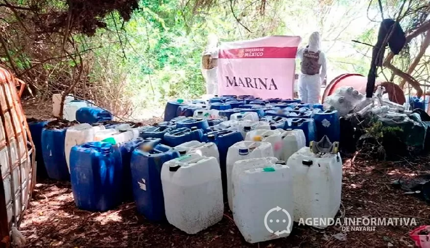 Golpe millonario al crimen organizado: decomisan químicos en Nayarit y Sinaloa