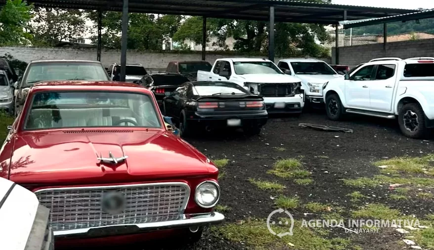 Vinculan a proceso a cuatro personas en Nayarit por posesión de armas y vehículos asegurados