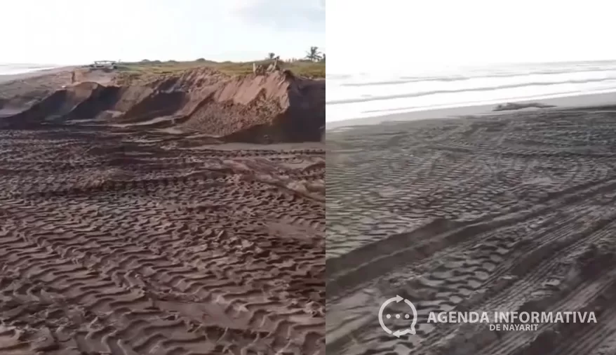 Robo de arena en playa Los Corchos pone en riesgo zona tortuguera