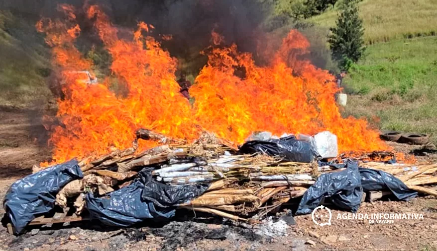 Incineran más de 100 kilos de droga asegurada en Nayarit
