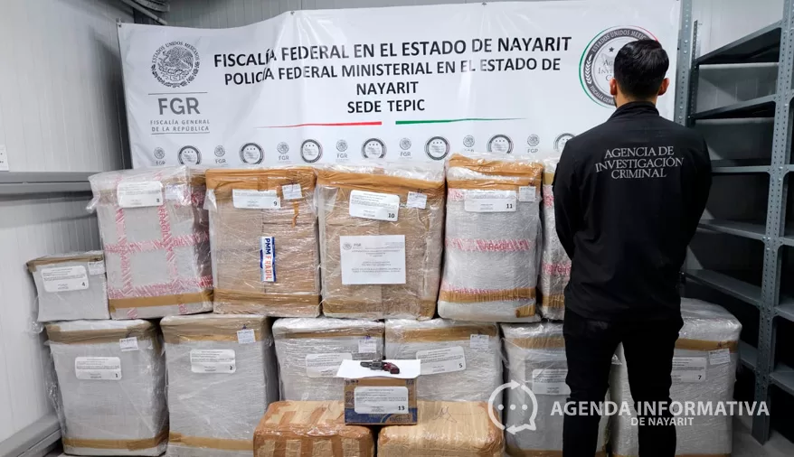 FGR Nayarit refuerza acciones contra el crimen: decomisan armas, drogas y aseguran inmuebles en octubre