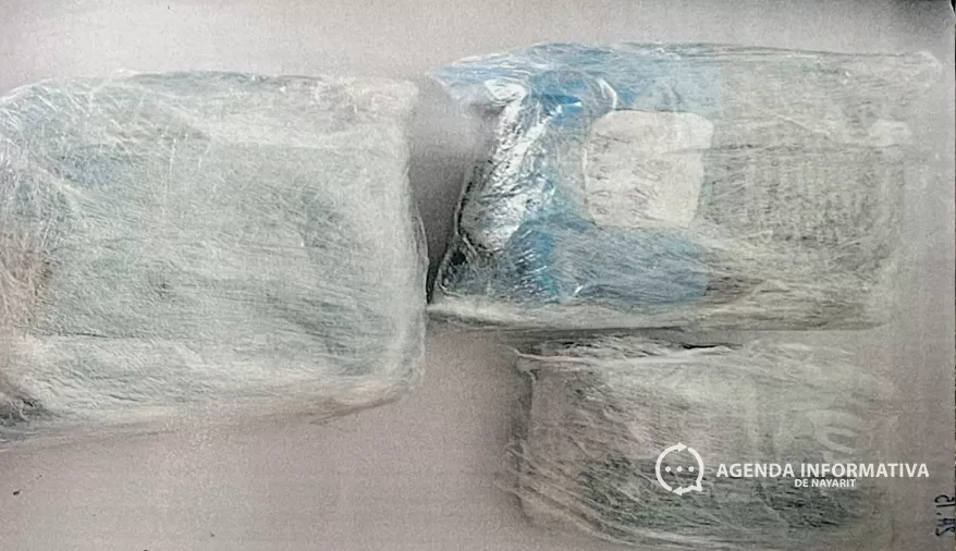 Dictan ocho años de prisión a hombre detenido con hierba verde en la Tepic–Mazatlán