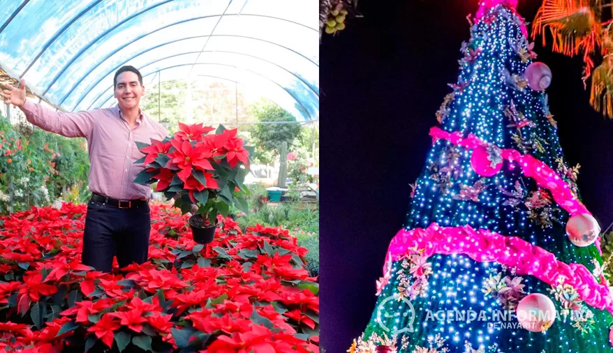 Bahía de Banderas llevará la Navidad a más de 20 comunidades con encendidos y caravanas