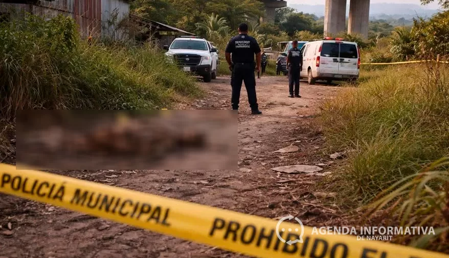 Localizan cuerpo en avanzado estado de descomposición junto a puente de la autopista Bucerías–Puerto Vallarta