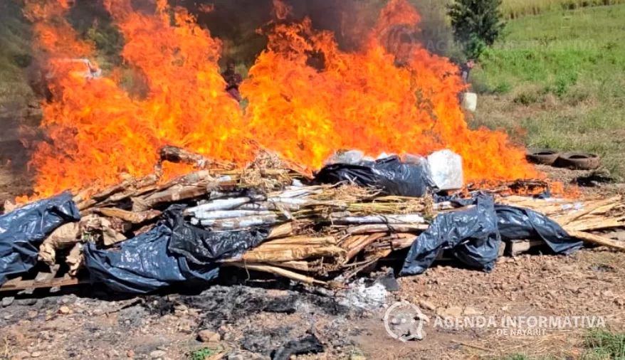 FGR reporta operativos y aseguramientos en Nayarit durante noviembre