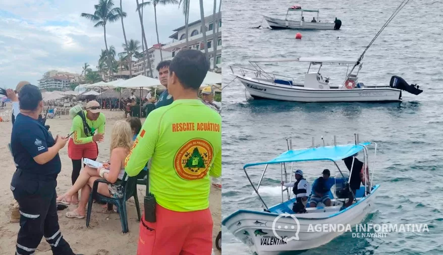 Una persona sin vida deja choque de embarcación contra una ballena en Puerto Vallarta