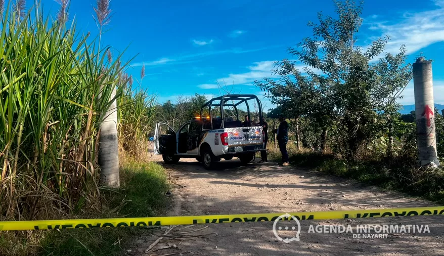 Localizan hombre sin vida en brecha del cerro de Microondas en Tepic