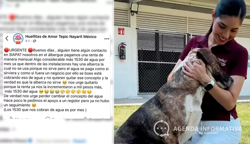 Asume Geraldine Ponce pago del recibo de agua de albergue de perritos en Tepic