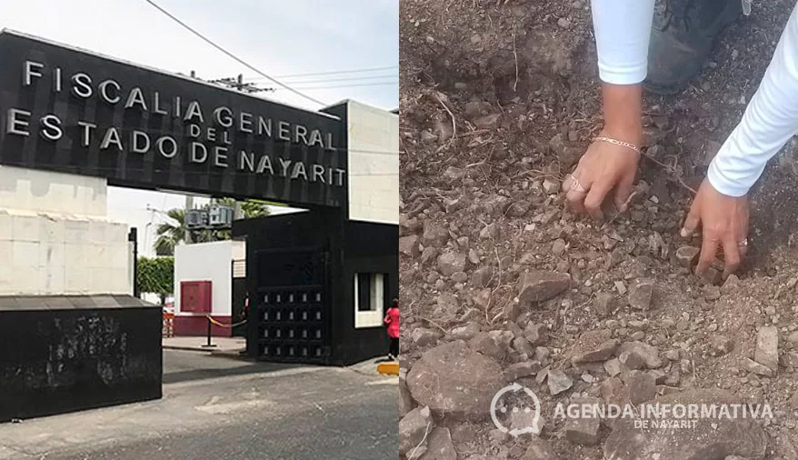 Abrirá Fiscalía de Nayarit puertas a familias buscadoras y reforzará operativos con tecnología